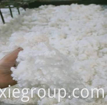 7d HC Virgin 2 (1) 7D HC VIRGIN 2(1)